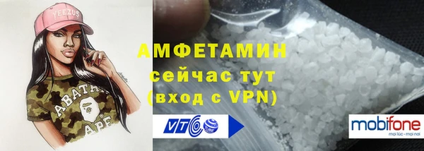 ешки Алексин