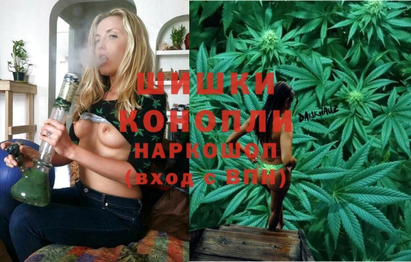 ешки Алексин