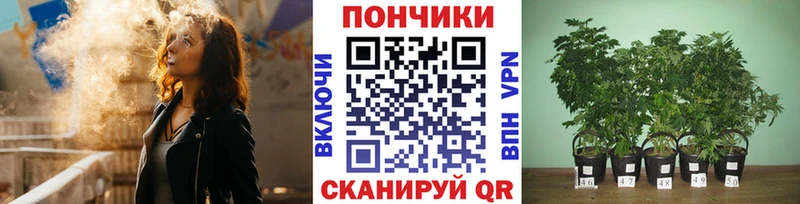 МЕГА как зайти  даркнет сайт  Миньяр  Канабис семена 